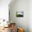 Cloud in Crater, Caldeira, Faial, Azores, Portugal, Europe-Ken Gillham-Mounted Photographic Print displayed on a wall