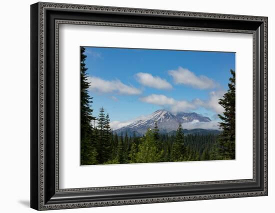 Cloud over Mount St. Helens, part of the Cascade Range, Pacific Northwest region, Washington State,-Martin Child-Framed Photographic Print