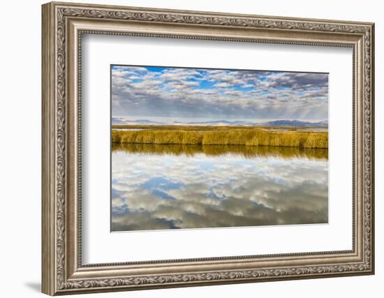 Cloud Reflection on Bear River National Wildlife Refuge, Utah-Howie Garber-Framed Photographic Print