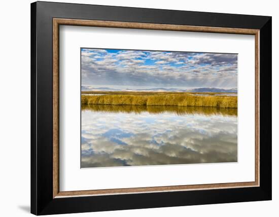 Cloud Reflection on Bear River National Wildlife Refuge, Utah-Howie Garber-Framed Photographic Print