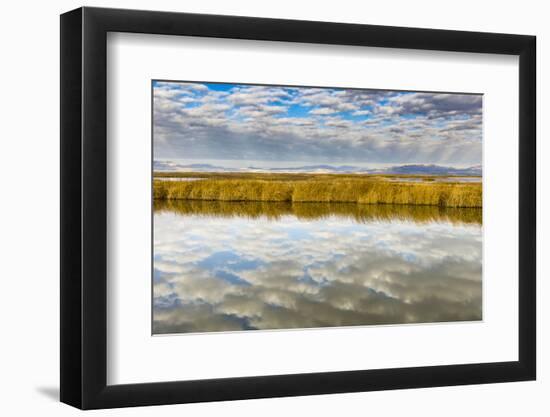 Cloud Reflection on Bear River National Wildlife Refuge, Utah-Howie Garber-Framed Photographic Print