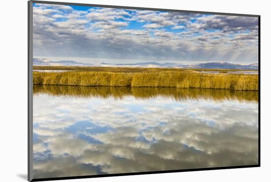 Cloud Reflection on Bear River National Wildlife Refuge, Utah-Howie Garber-Mounted Photographic Print