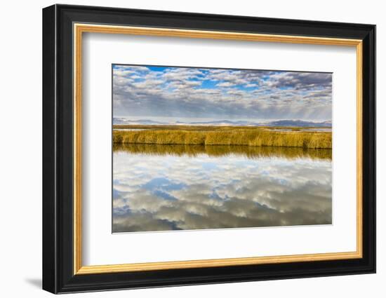 Cloud Reflection on Bear River National Wildlife Refuge, Utah-Howie Garber-Framed Photographic Print