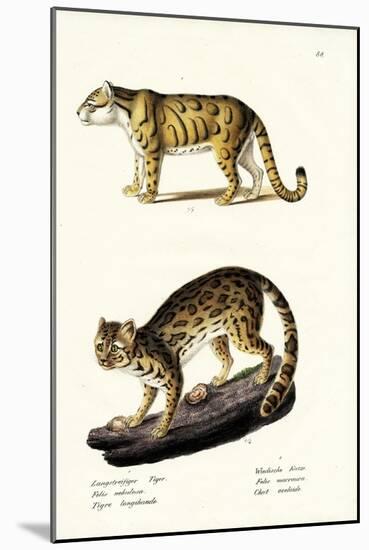 Clouded Leopard, 1824-Karl Joseph Brodtmann-Mounted Giclee Print