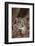 Clouded Leopard Cub-DLILLC-Framed Photographic Print