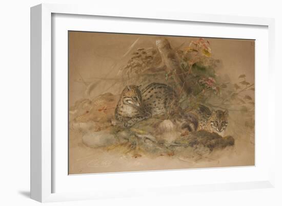 Clouded Leopard (Fleis Macrocelis)-Joseph Wolf-Framed Giclee Print