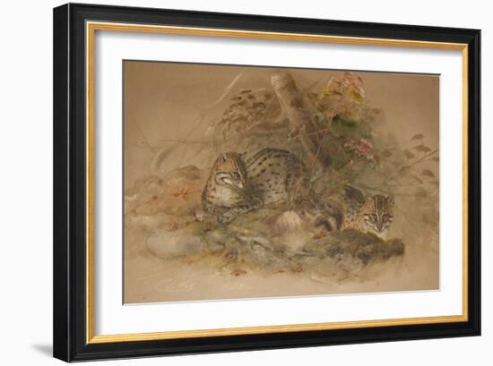 Clouded Leopard (Fleis Macrocelis)-Joseph Wolf-Framed Giclee Print