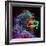 Clouded Monkey 1-null-Framed Art Print