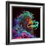 Clouded Monkey 1-null-Framed Art Print