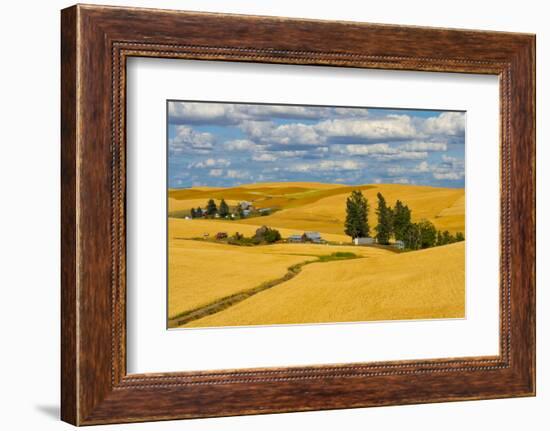 Clouds above farm house on wheat field, Palouse, eastern Washington State, USA-Keren Su-Framed Photographic Print