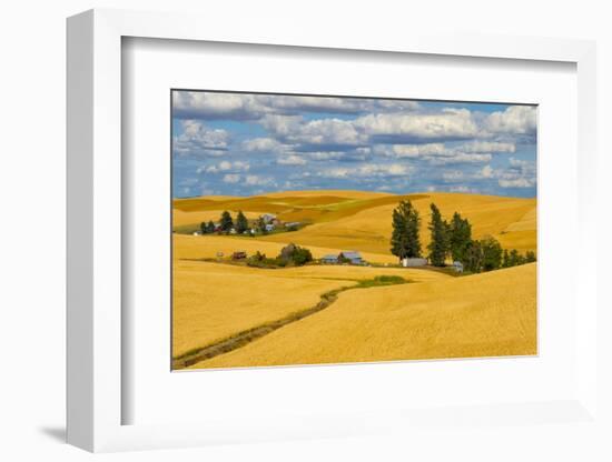 Clouds above farm house on wheat field, Palouse, eastern Washington State, USA-Keren Su-Framed Photographic Print