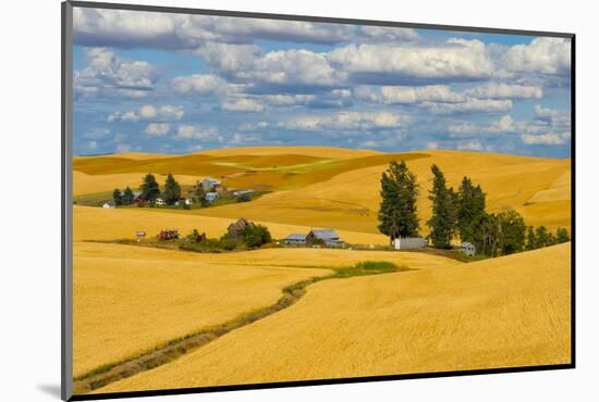 Clouds above farm house on wheat field, Palouse, eastern Washington State, USA-Keren Su-Mounted Photographic Print