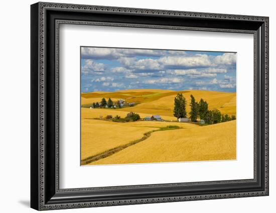 Clouds above farm house on wheat field, Palouse, eastern Washington State, USA-Keren Su-Framed Photographic Print