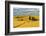 Clouds above farm house on wheat field, Palouse, eastern Washington State, USA-Keren Su-Framed Photographic Print