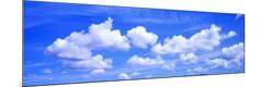 Premium Photographic Print