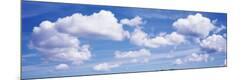 Premium Photographic Print