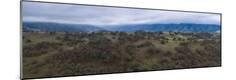 Premium Photographic Print