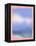Clouds from the Window-Little Dean-Framed Premier Image Canvas
