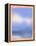 Clouds from the Window-Little Dean-Framed Premier Image Canvas