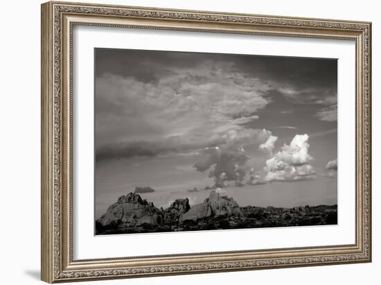 Clouds in Joshua Tree I-Erin Berzel-Framed Photographic Print