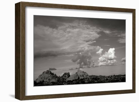 Clouds in Joshua Tree I-Erin Berzel-Framed Photographic Print