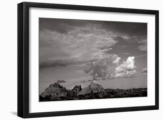 Clouds in Joshua Tree I-Erin Berzel-Framed Photographic Print