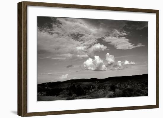 Clouds in Joshua Tree II-Erin Berzel-Framed Photographic Print