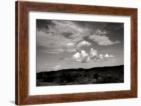 Clouds in Joshua Tree II-Erin Berzel-Framed Photographic Print