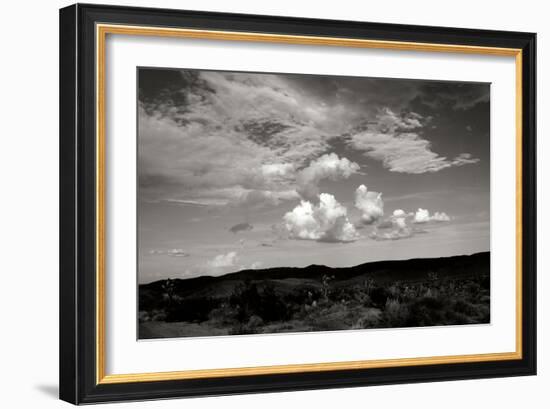 Clouds in Joshua Tree II-Erin Berzel-Framed Photographic Print