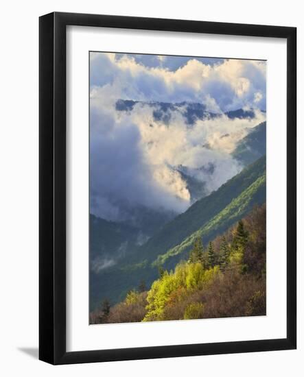 Clouds in Oconaluftee Valley at Sunrise, Great Smoky Mountains National Park, North Carolina, Usa-Adam Jones-Framed Photographic Print