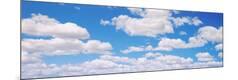 Premium Photographic Print
