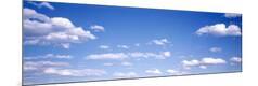 Premium Photographic Print