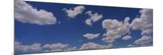 Premium Photographic Print