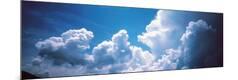Premium Photographic Print