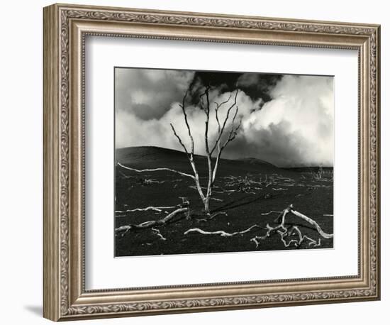 Clouds, Lava, Tree, Hawaii, 1978-Brett Weston-Framed Photographic Print