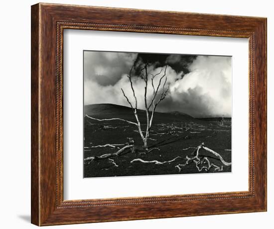 Clouds, Lava, Tree, Hawaii, 1978-Brett Weston-Framed Photographic Print