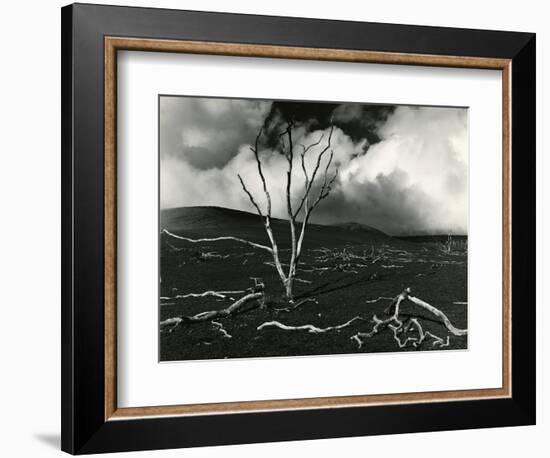 Clouds, Lava, Tree, Hawaii, 1978-Brett Weston-Framed Photographic Print