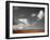 Clouds Lover-Philippe Sainte-Laudy-Framed Photographic Print