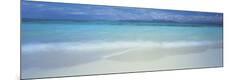 Premium Photographic Print