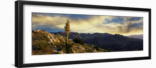 Clouds over Anza Borrego Desert State Park, San Diego County, California, Usa-null-Framed Photographic Print