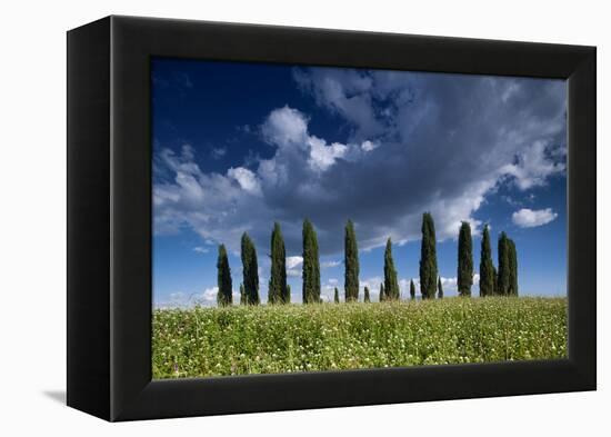 Clouds over Cypress Hill-Michael Blanchette-Framed Premier Image Canvas