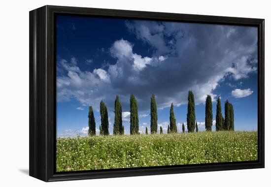 Clouds over Cypress Hill-Michael Blanchette-Framed Premier Image Canvas