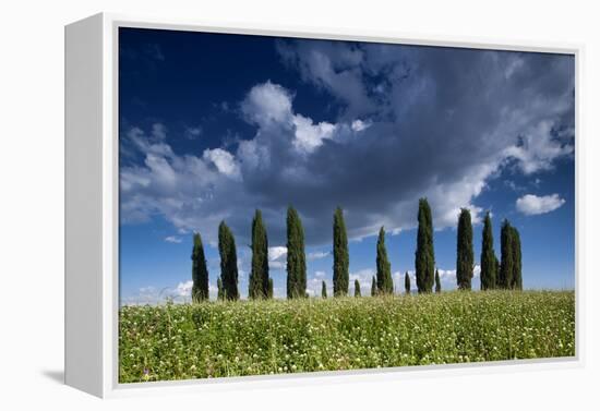 Clouds over Cypress Hill-Michael Blanchette-Framed Premier Image Canvas