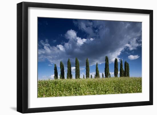 Clouds over Cypress Hill-Michael Blanchette-Framed Photographic Print