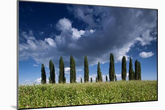 Clouds over Cypress Hill-Michael Blanchette-Mounted Photographic Print