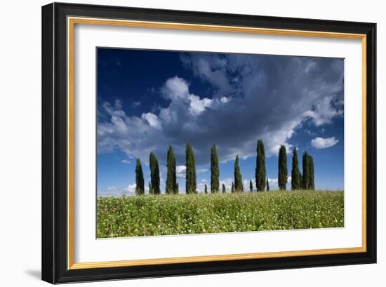 Clouds over Cypress Hill-Michael Blanchette-Framed Photographic Print