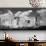 Clouds over Skyscrapers in a City, Charlotte, North Carolina, USA-Panoramic Images-Mounted Photo displayed on a wall