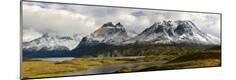 Premium Photographic Print