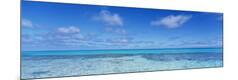 Premium Photographic Print