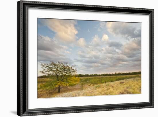 Clouds over the Prairie at Sunset, Texas, USA-Larry Ditto-Framed Photographic Print